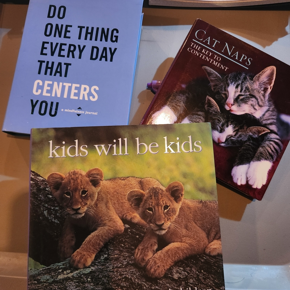 Kids Will Be Kids Lion Cubs Coffee Table Picture Book
